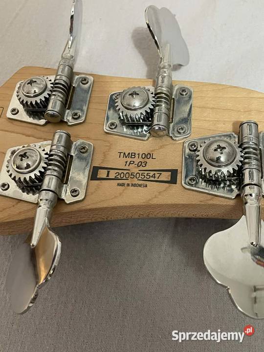 Gitara Basowa Leworeczna Ibanez wzmacniacz Ampeg pomorskie Pelplin