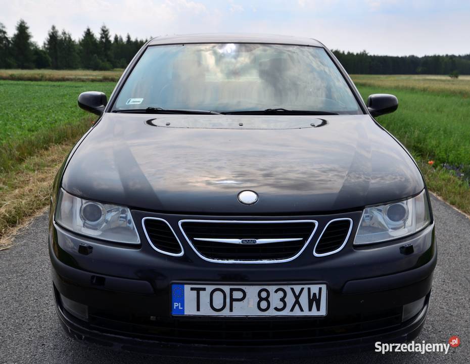 Saab 93 Vector Tarłów