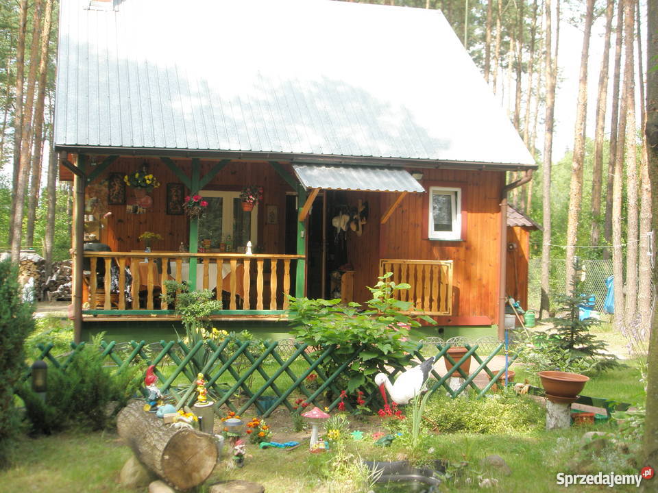 Piękna działka leśna z domkiem całorocznym Krajęczyn