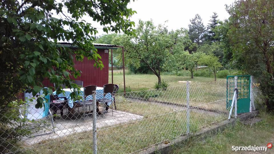 Działka ROD Stokrotka rekreacyjna Opole