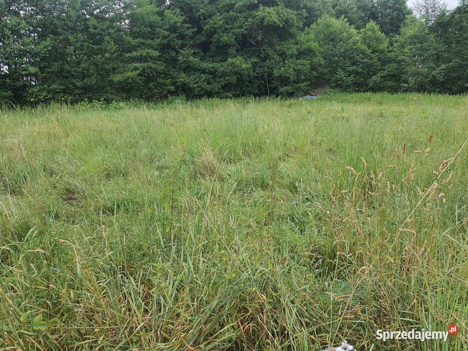 Działka budowlana 1327 m2 Stary Wielisław woda dolnośląskie