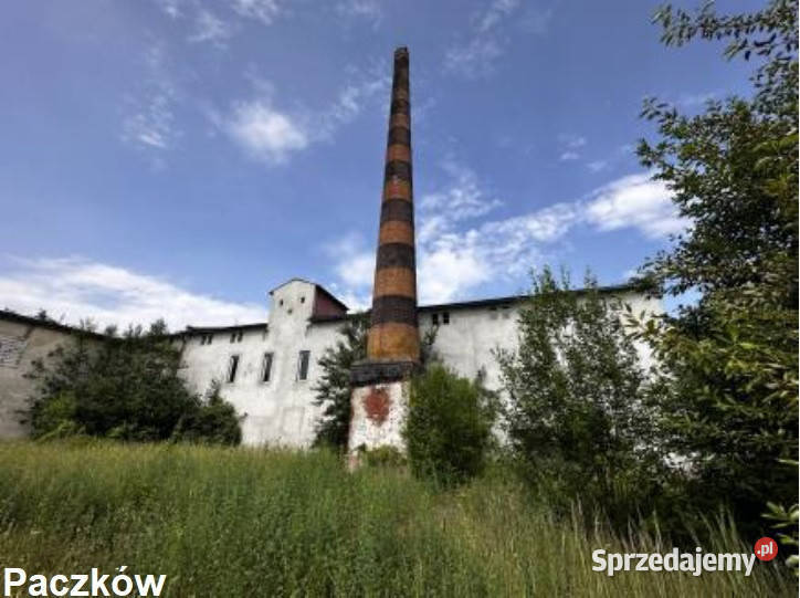 Syndyk sprzeda nieruchomości w Paczkowie i Paczków