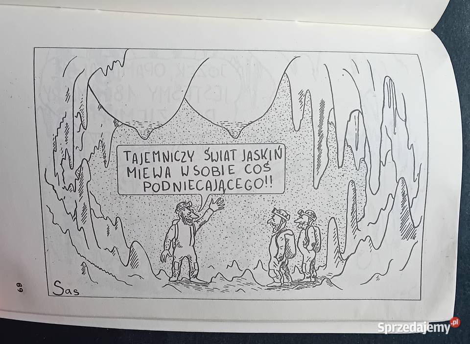 Witold Sas Nowosielski ja kocham te góry Text wielkopolskie Koźminek