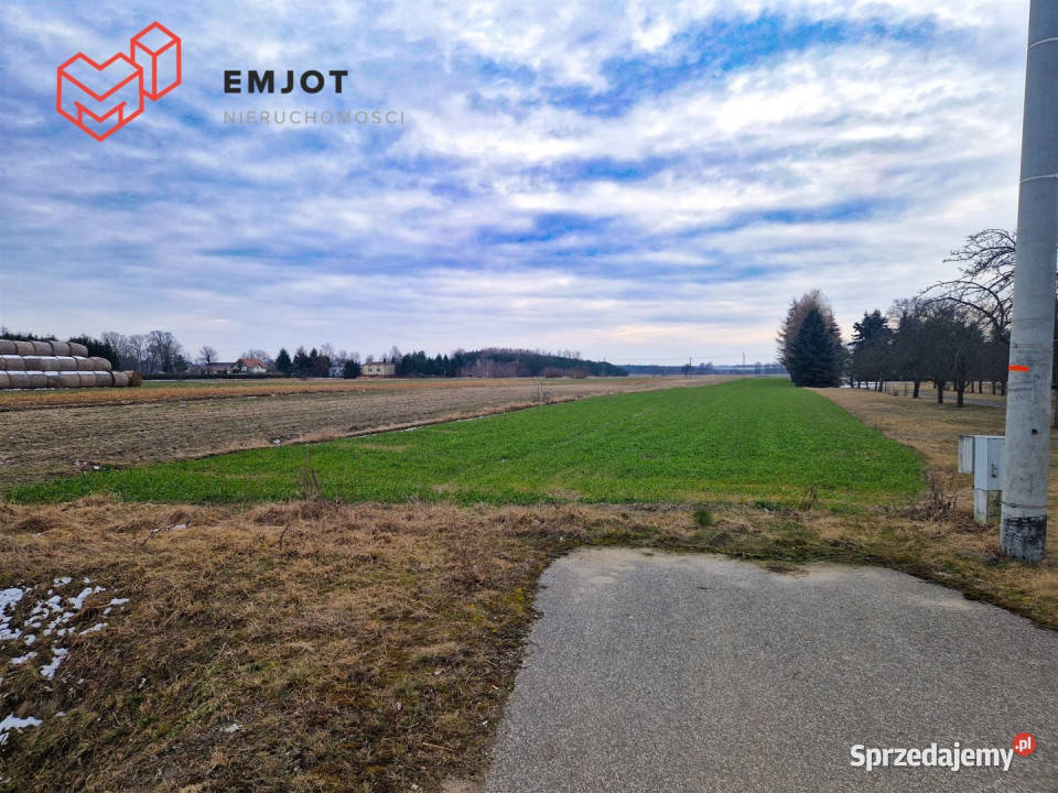 sprzedaży gruntu 1607 metrów Podłężyce sprzedam