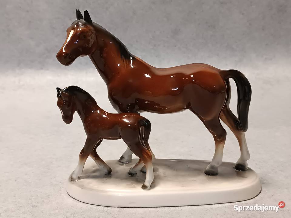 Hertwig Konie Kolekcjonerska Klacz i Źrebię Gdańsk sprzedam