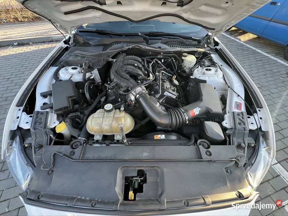 Ford Mustang 37 V6 światła przeciwmgielne opolskie Opole