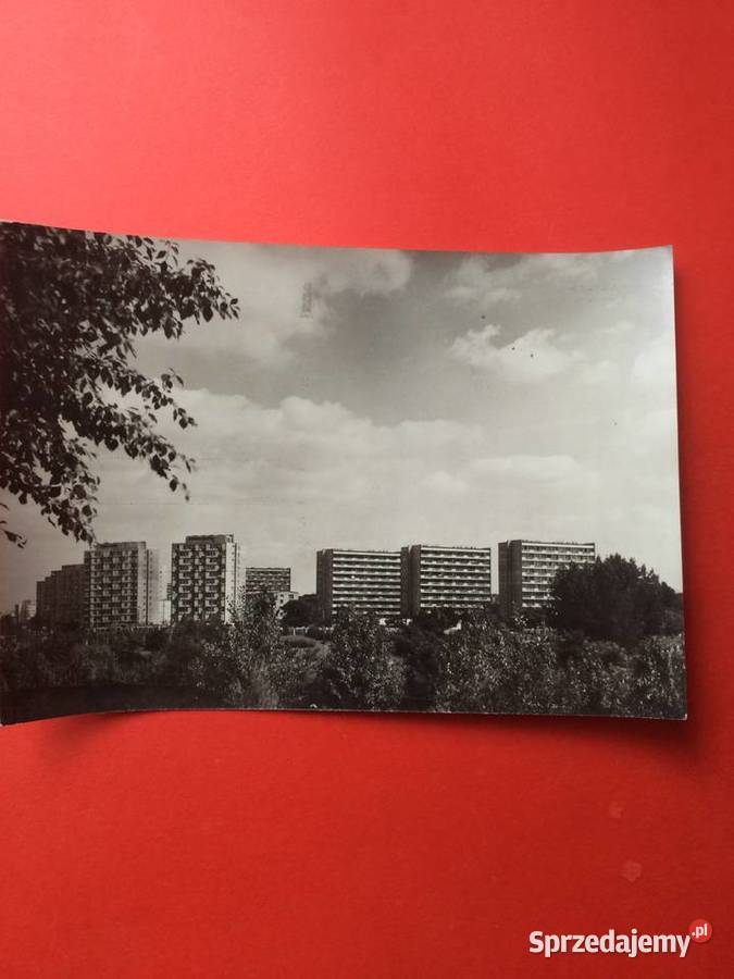 2302 Widokówka Warszawa Antykwariat Szczecin