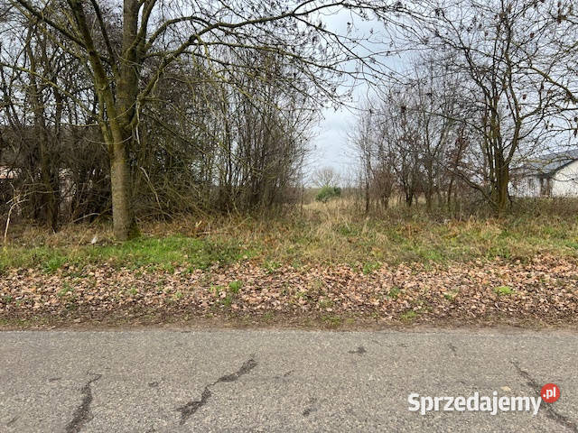 Syndyk sprzeda działkę 934 Wyszomierz Gmina zachodniopomorskie