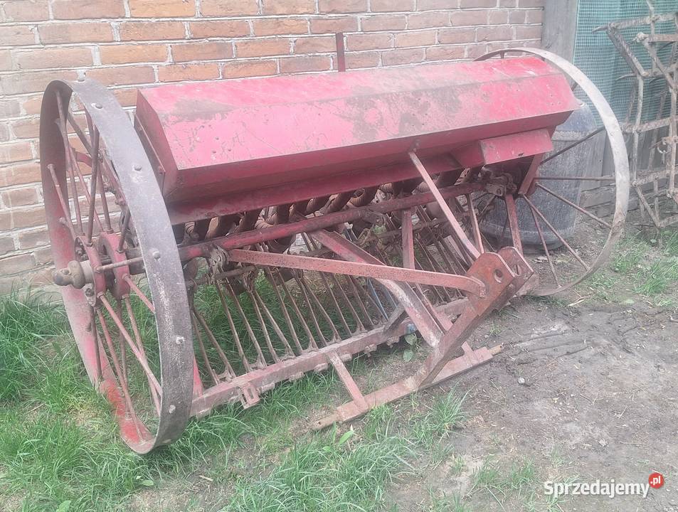 Siewnik konny nieuszkodzony