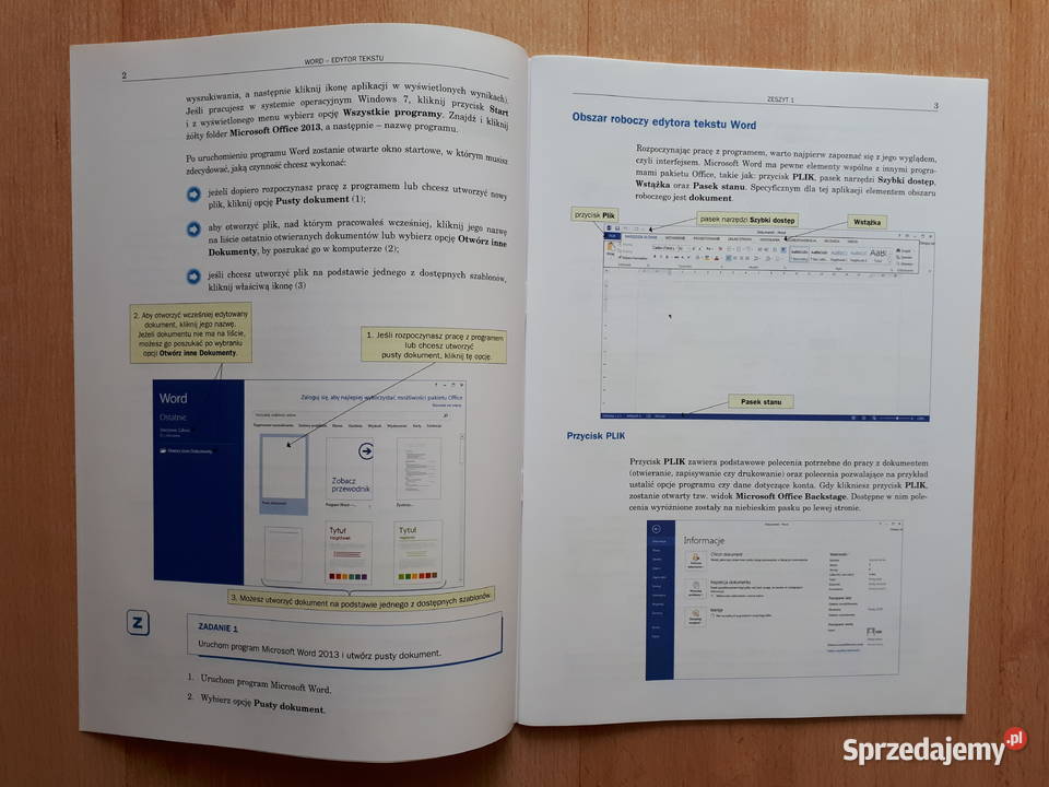 Excel Word PowerPoint i GIMP ESKK komplet internet, komputery Rybnik