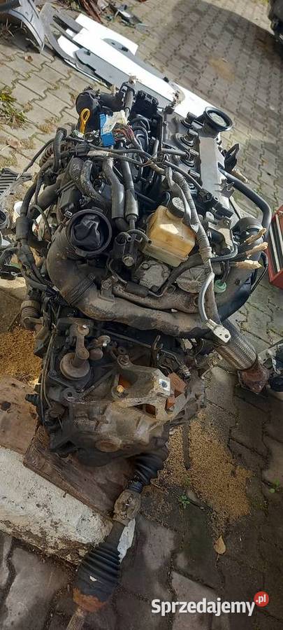 Mazda 20diesel J7RA dwie sztuki sprzedam Nysa