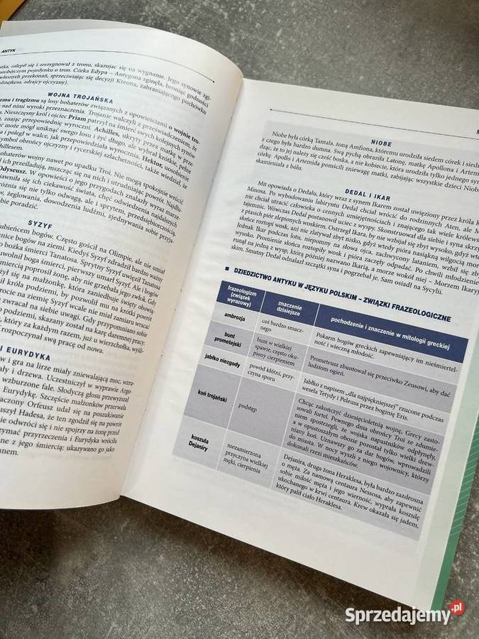 Matura Język Polski Vademecum Greg kompendium, repetytorium, opracowanie Jasło