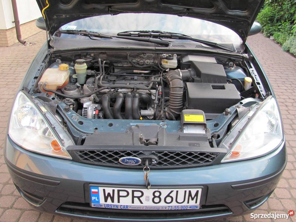 Ford Focus 2003 hatchback neptune green pierwszy mazowieckie Dawidy Bankowe