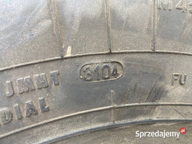 Opona Semperit EuroSteel 126124M 21575R175 Ciężarowe Maszewo