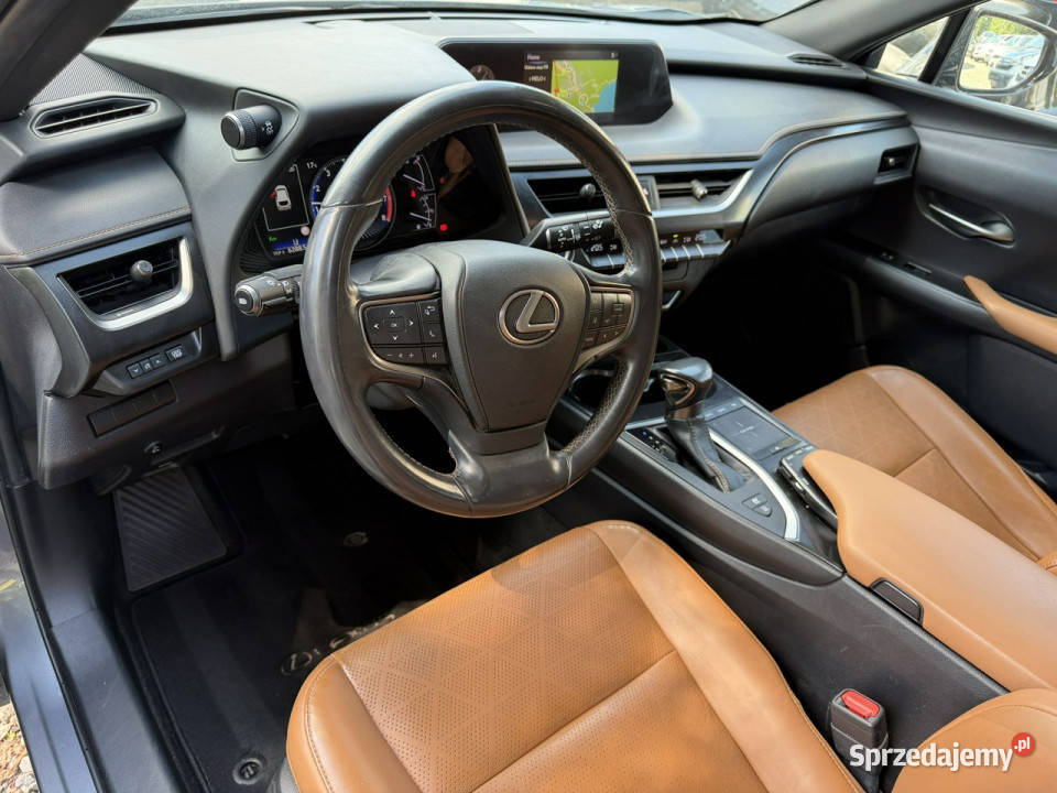 Lexus UX 250 Hybrid Skóra Ful LED Premium relingi dachowe UX Łodygowice sprzedam