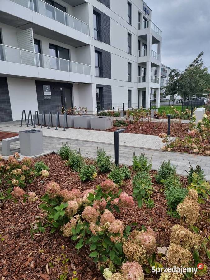 Projektowanie ogrodów usługi ogrodnicze Gdańsk