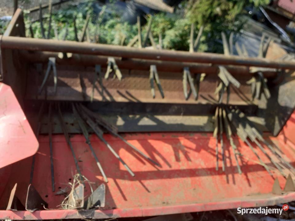 Rotacyjna Grodzisk Mazowiecki