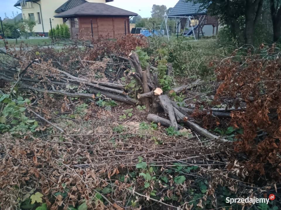 Oddam chrust gałęzie i pieńki z drzew owocowych Kałków sprzedam