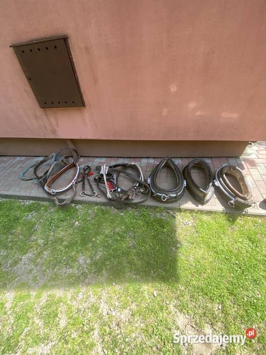 sprzedam homonty konia Urzejowice