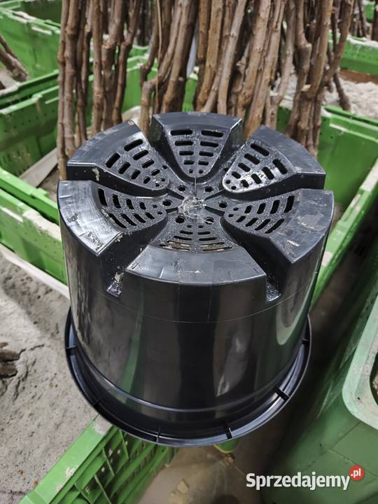 Nowe donice do uprawy borówki amerykańskiej