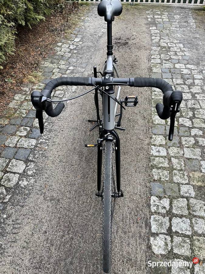 Roczny TRIBAN RC 100sprzedam wielkopolskie Poznań