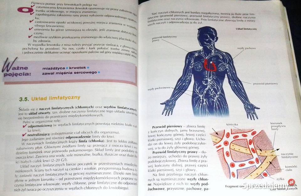 Biologia gimnazjum Cz 2 W Gołda M Kłyś J Wardas