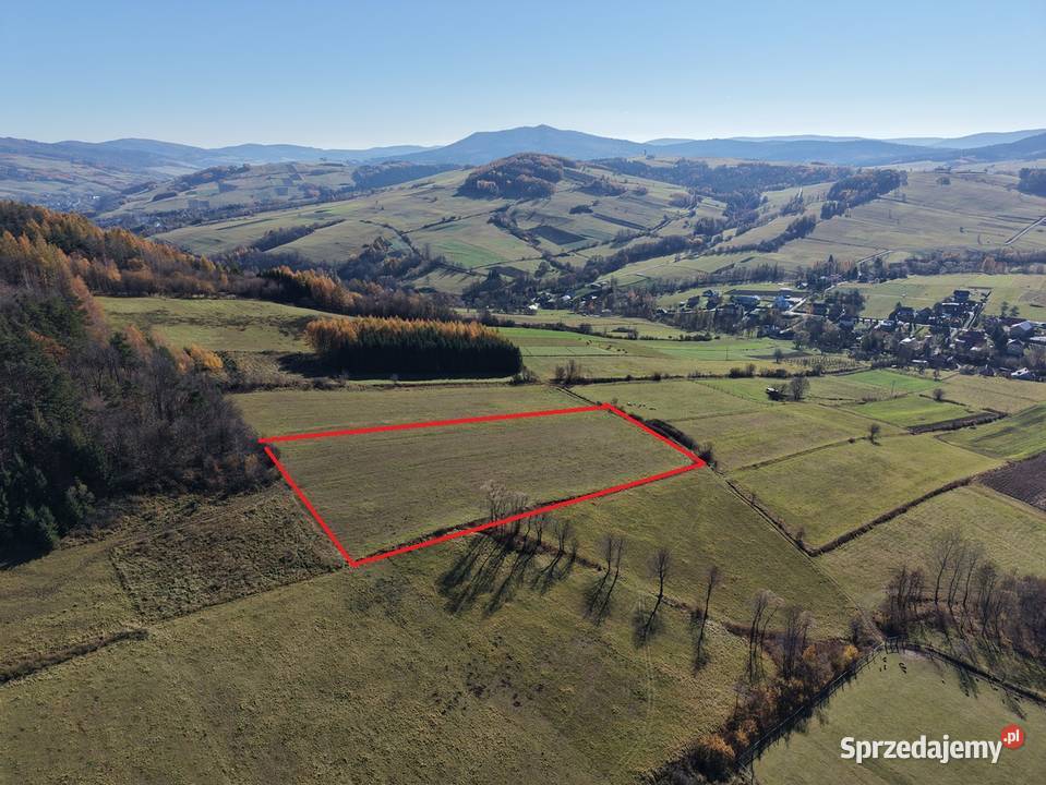 Widokowa działka 92 ar Brzezowa