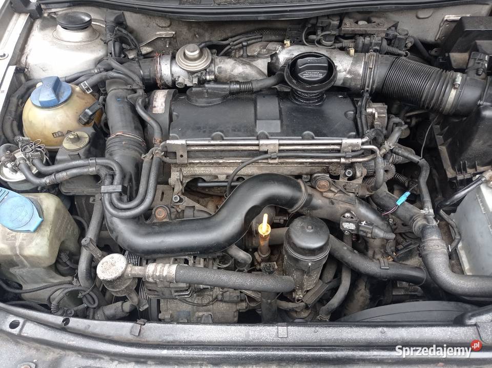 Seat Leon Toledo pas przedni ARL świętokrzyskie Wola Jachowa