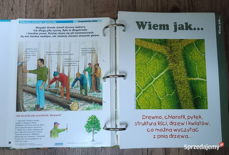 Leśne przygody segregator album DeAgostini Zbylitowska Góra sprzedam