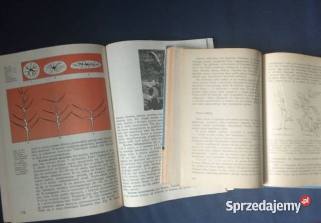 Drzewa karłowe Sadownictwo i Łódź