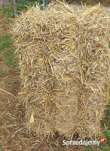 Słoma 2025 kostki Mierzęcice