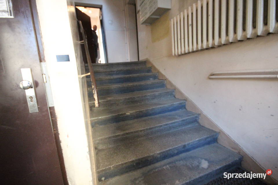 2pok 39met Ogrodu Botaniczego PIWNICAWINDA pom. użytkowe Wrocław sprzedam