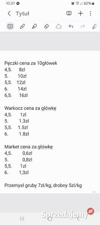 Czosnek Harnaś świętokrzyskie Wiślica