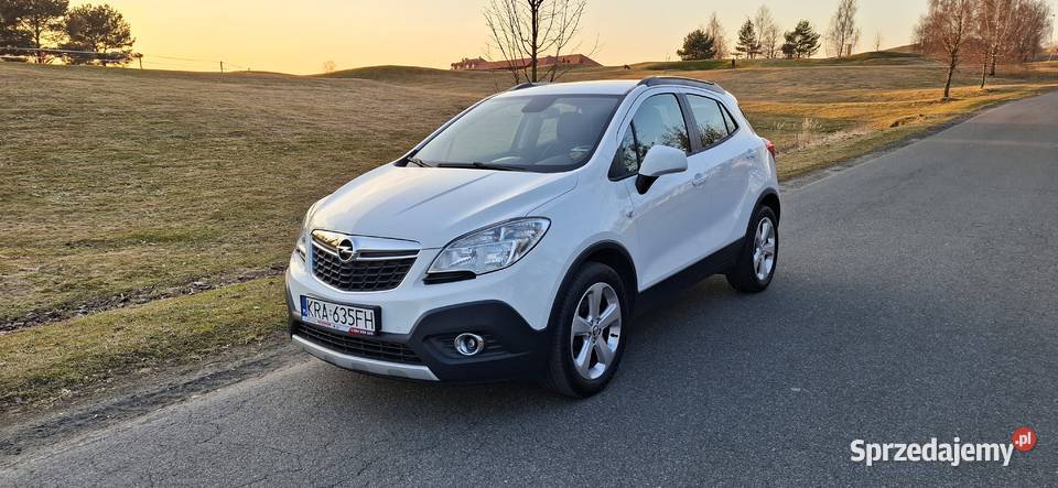 Opel Mokka 14T 140 Benzyna 4x4 Bezwypadkowy komputer pokładowy Olkusz