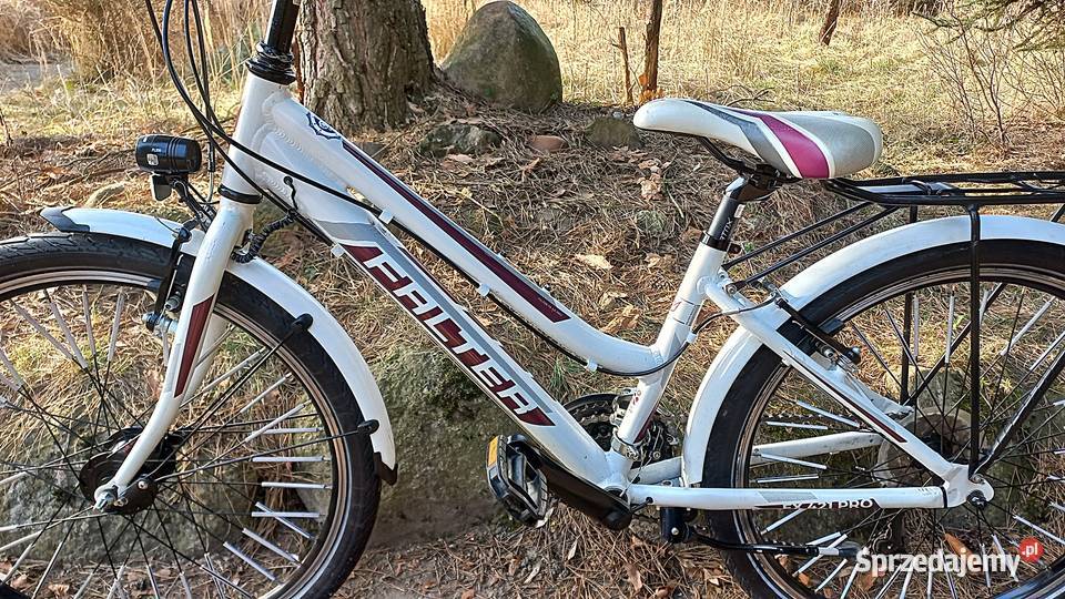 Alu Rower Młodzieżowy Dziecięcy Falter FX 421 Wołów sprzedam