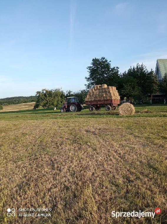 Sprzedam Bele siana słomy Jedlicze
