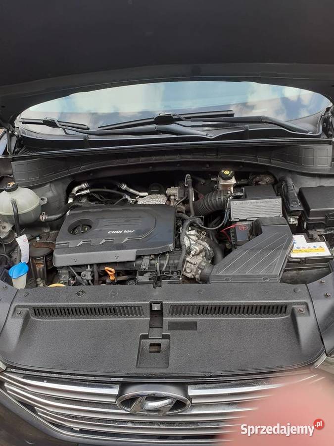 Hyundai Trzebiel