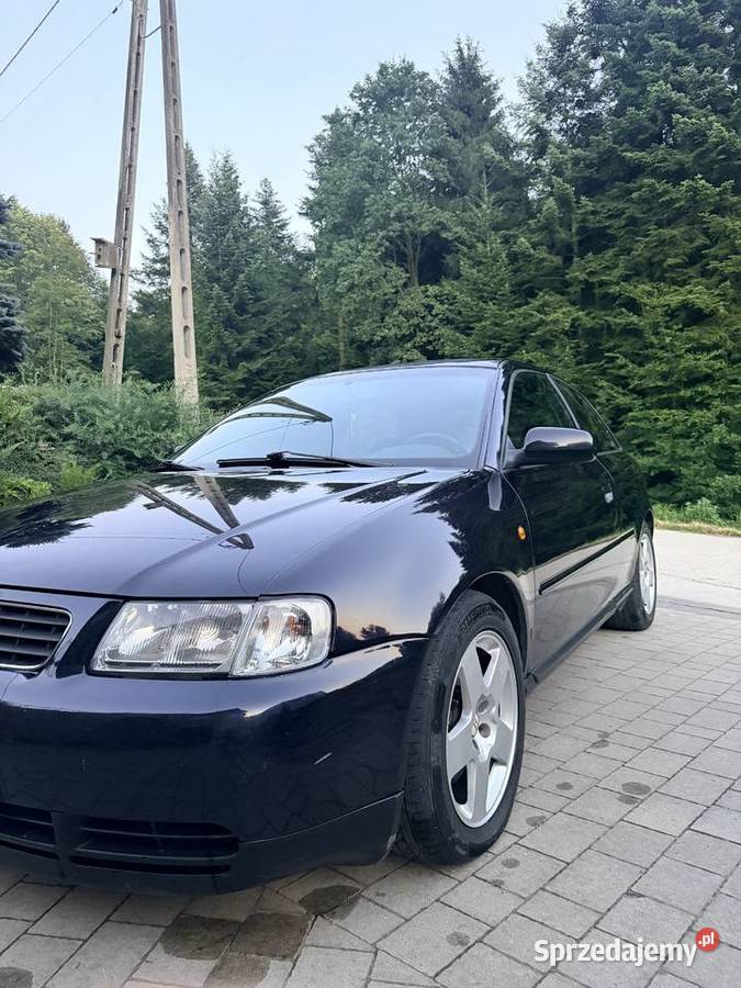 Audi a3 8l 18T quattro Paszyn