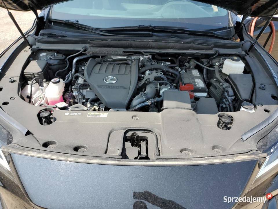 2023 LEXUS RX 350 BASE NISKI PRZEBIEG benzyna Bełchatów