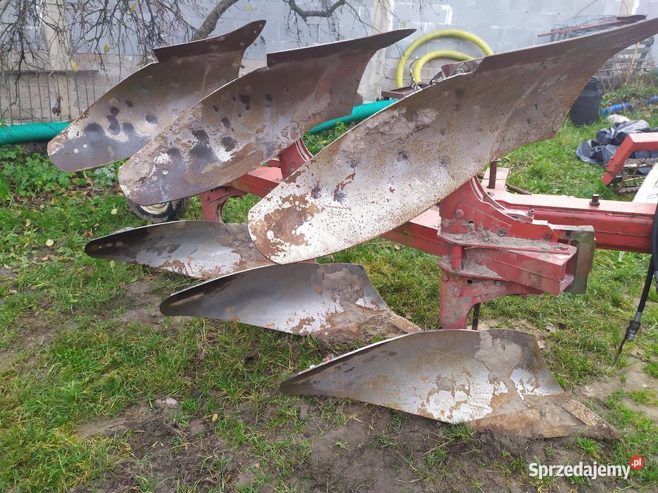 pług international case 3 Case IH Pługi Niedarczów Górny-Kolonia