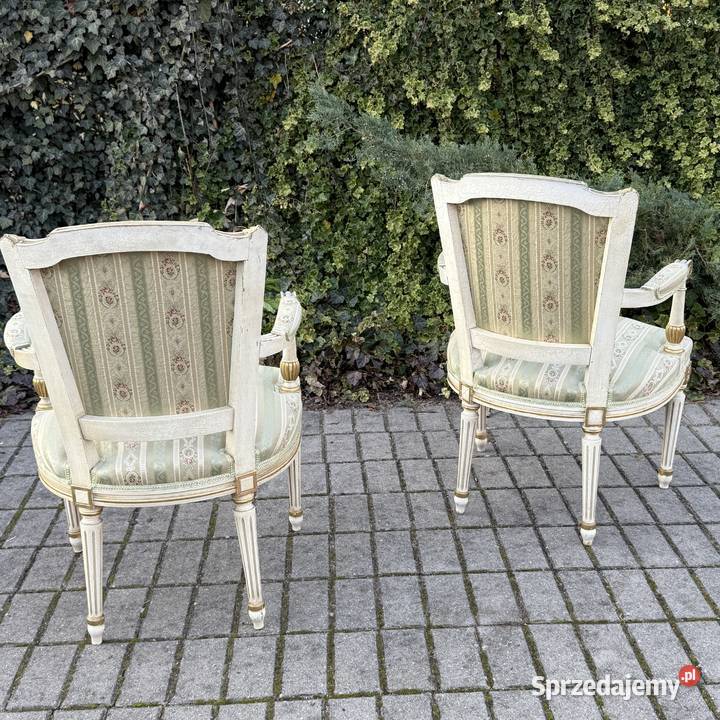 ARTexpert Para Francuskich foteli Ludwik XVI Dobrzany