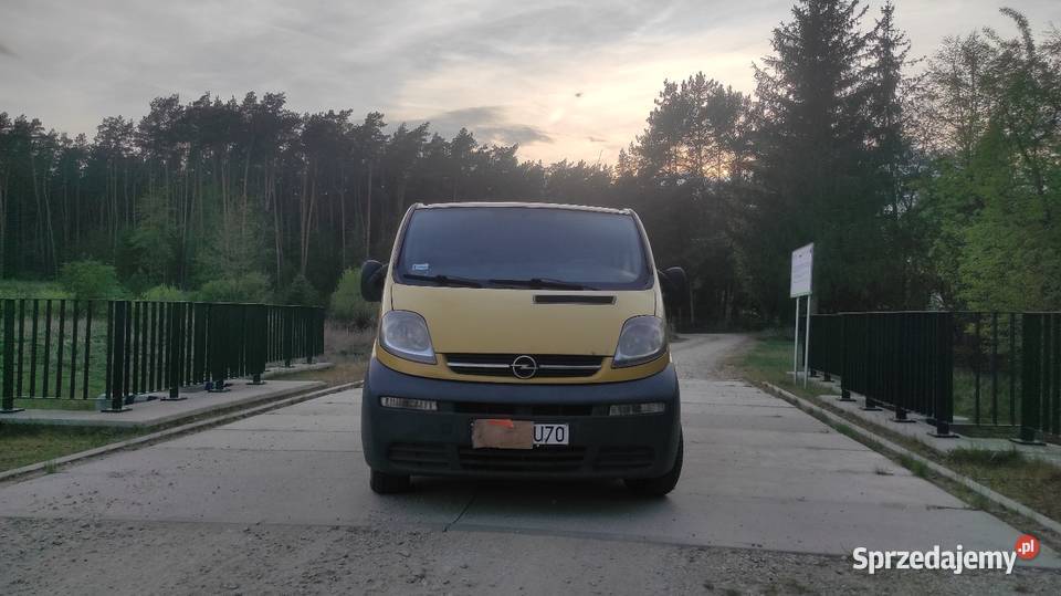 Opel Vivaro 2005 r 19 DCi 120 Opel wielkopolskie Chodzież