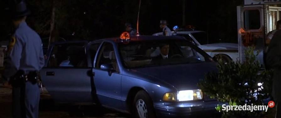 SZAKAL RICHARD GERE 1 płyta Kalisz