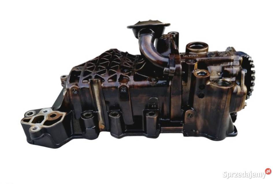 POMPA OLEJU 20 ALT AUDI A4 B6 A4 B7 A6 C5 PASSAT Działoszyce