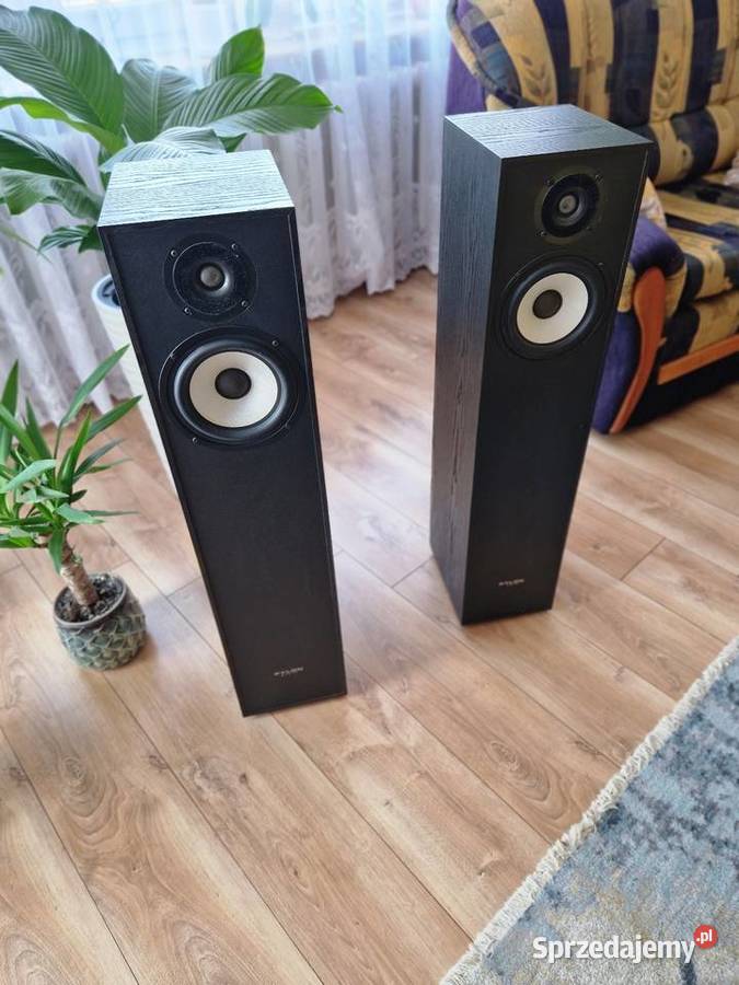 Kolumny Pylon Pearl 20 Para Ryki