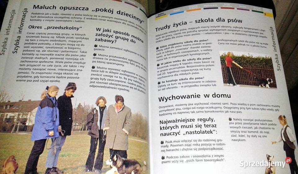 Szczenięta Heidi Rogner Pozostałe Chełm