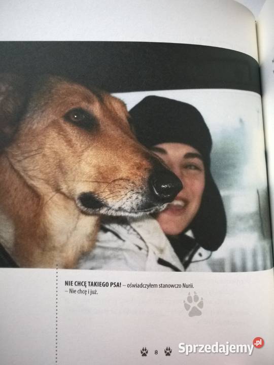 WILKI Adam Wajrak lubuskie Gorzów Wielkopolski