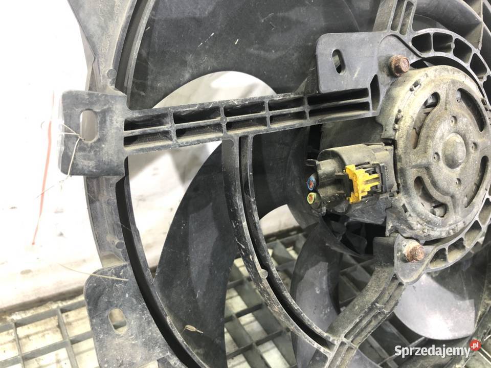 WENTYLATOR CHŁODNICY PEUGEOT 207 16 90 0615 Wentylatory chłodnicy podkarpackie