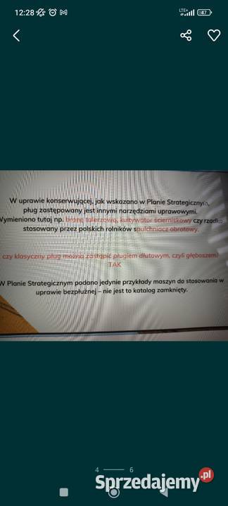 zapylanie upraw facelia nostrzyk ogórecznik Pozostałe usługi Łomża