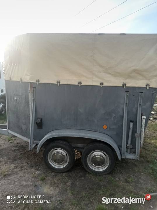 Przyczepa na 2 konie Westwalia 2000 dmc towarowe Skierniewice sprzedam